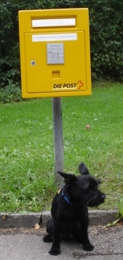 Briefkasten mit Hund