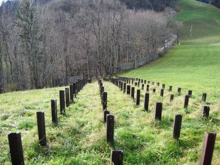 Panzersperren im Jura